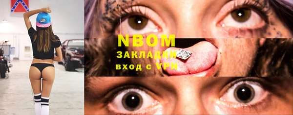 дживик Инта
