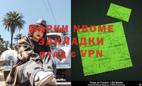 дживик Инта