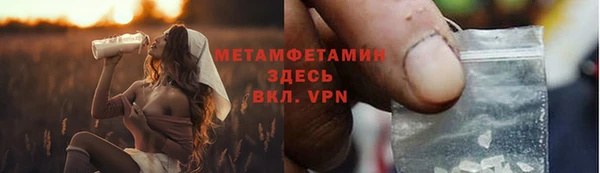 дживик Инта