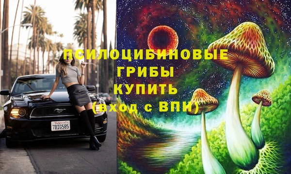 бошки Иннополис