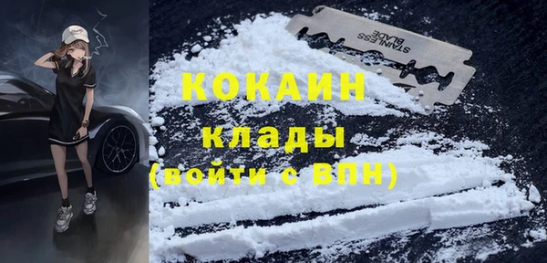 дживик Инта