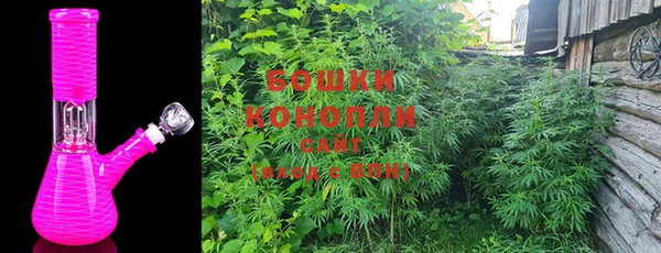 бошки Иннополис