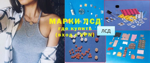 дживик Инта