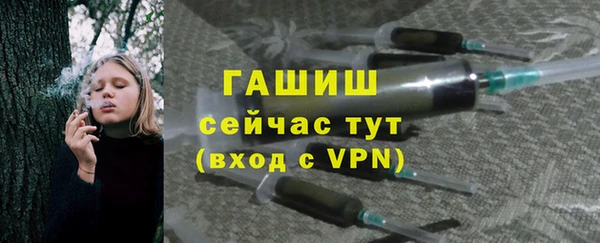 дживик Инта